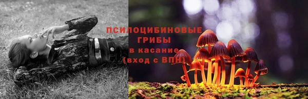 скорость Белокуриха