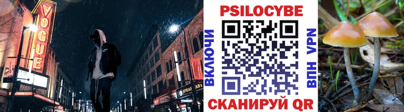 Галлюциногенные грибы Psilocybine cubensis Грозный