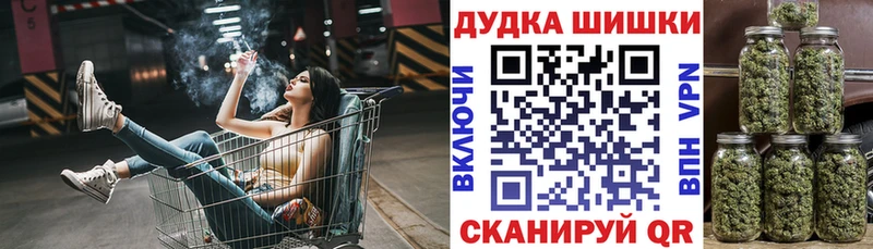 Бошки Шишки тримм  Грозный 
